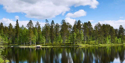 Järvimaisema Suomesta kesällä.