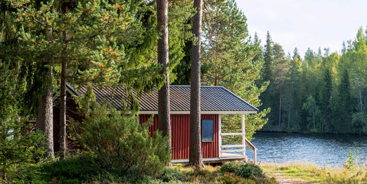 kesäinen järvimaisema