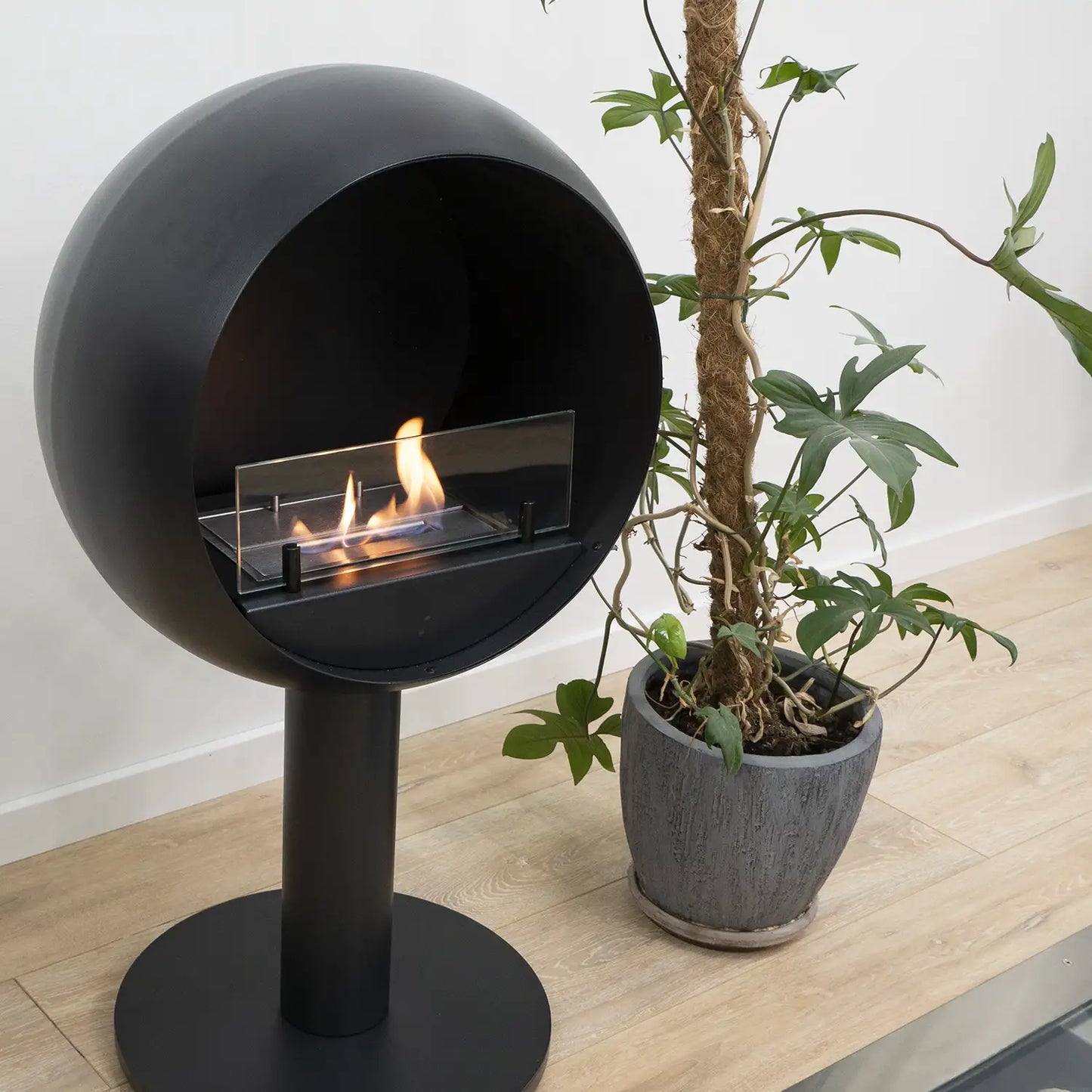 Biofireplace Edmonton black